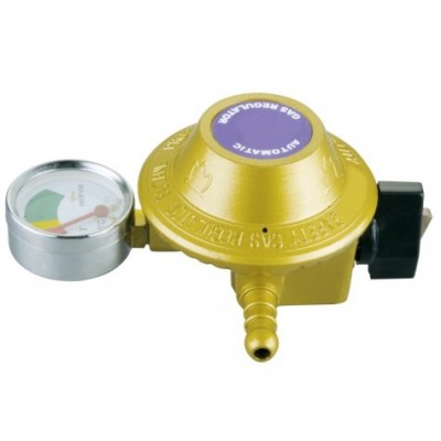 Gas regulator with meter